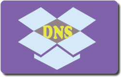 DNS in a Box