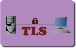 传输层安全（TLS）实验