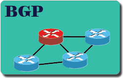 BGP 互联网仿真实验