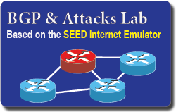 BGP 探索与攻击实验