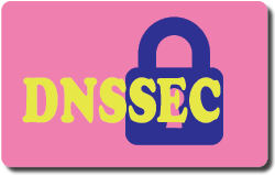 DNSSEC 实验