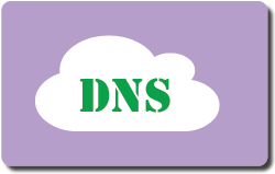 DNS 基础设施实验